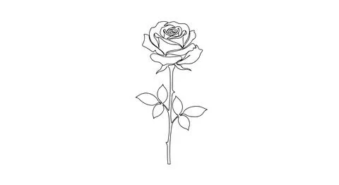 Simple line drawing of a rose Stock Illustration