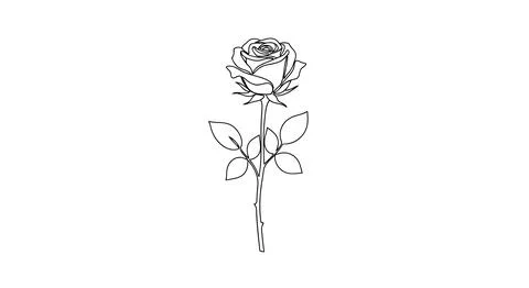 Simple line drawing of a rose Stock Illustration