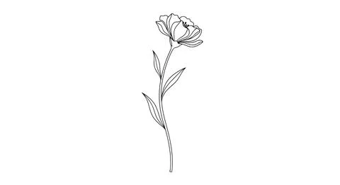 Simple line drawing of a rose Stock Illustration