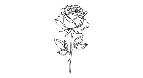 Simple line drawing of a rose Stock Illustration
