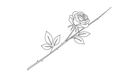 Simple line drawing of a rose on a stem Stock Illustration