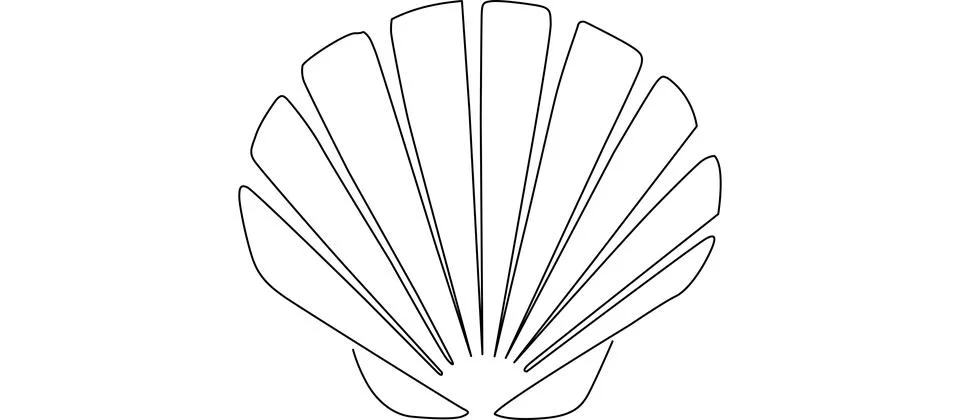 Simple line drawing of a scallop seashell on a white background, isolated. .. Stock Illustration