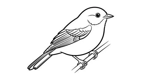 Simple Line Drawing of a Small Bird Perched on a Branch Stock Illustration