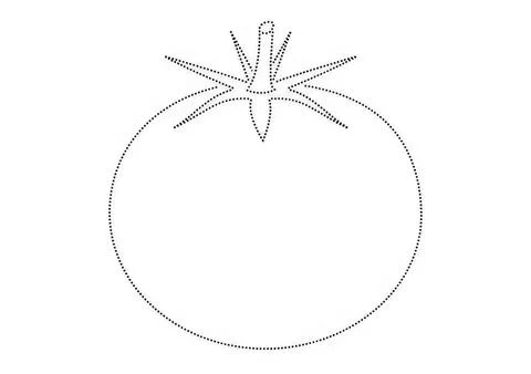 Simple line drawing of a tomato with stem and leaves Stock Illustration