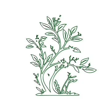 Simple line drawing of a tree with green leaves Stock Illustration