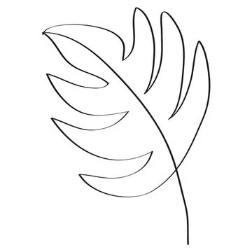 Simple line drawing of a tropical leaf on white background Stock Illustration
