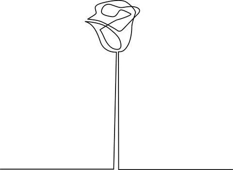 Simple line drawing of a tulip flower Vector Stock Illustration