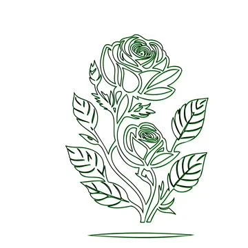 Simple Line Drawing of Two Roses 库存插图
