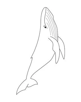 Simple line drawing of a whale leaping upward. 库存插图