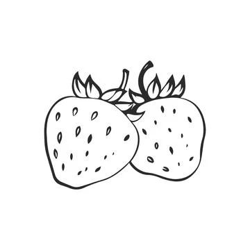 Simple linear black ink hand drawn strawberry. Stock Illustration