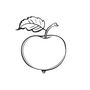 Simple linear black ink hand drawn apple. Stock Illustration
