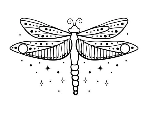 Simple linear hand drawing dragonfly. Insect with wings, boho tattoo. Vector Stock Illustration