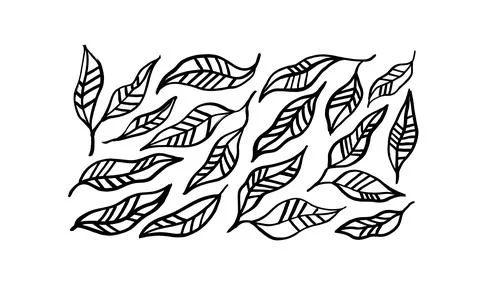 Simple linear leaves with veins isolated on white. Stock Illustration