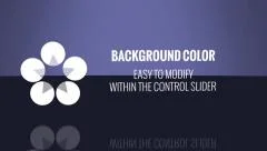 Simple Logo With Text Descriptions Animation Stock After Effects