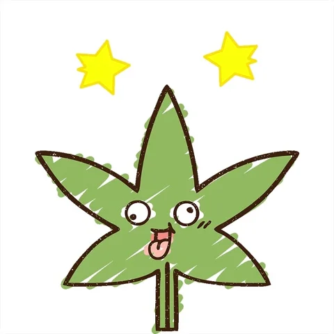A simple looping animated Cannabis Leaf Chalk Drawing Video stock 312952545