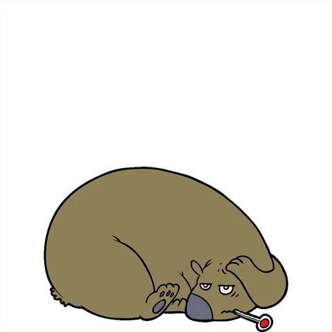 A simple looping animated cartoon bear with a sore head Stock Footage 313002407