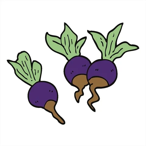 A simple looping animated cartoon doodle beetroot plants Stock Footage 312968650