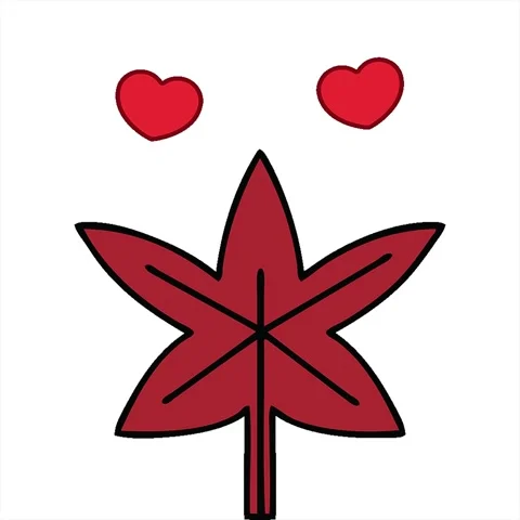 A simple looping animated cute cartoon of a autumn leaf Video stock 312963357