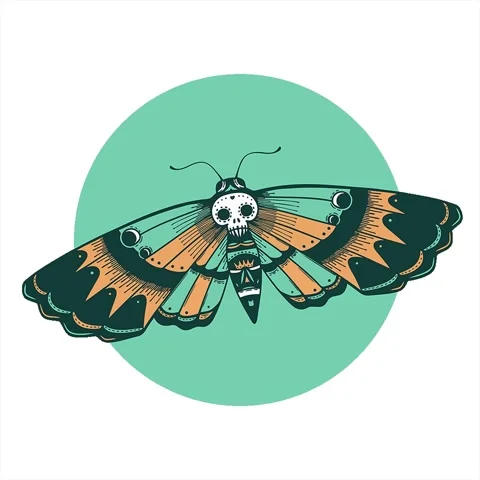 A simple looping animated deaths head moth design Stock Footage 312968975