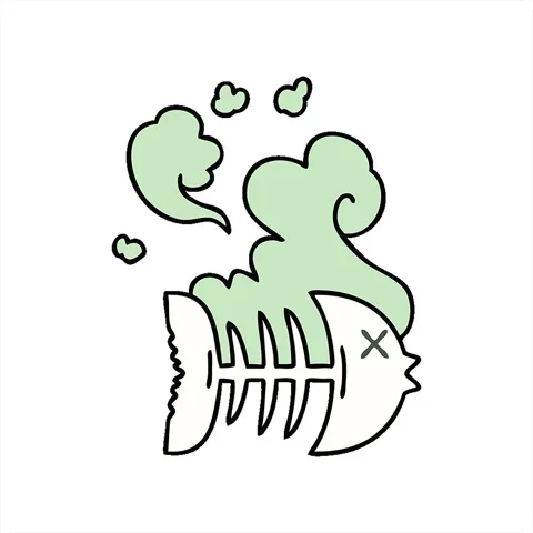 A simple looping animated hand drawn quirky cartoon dead fish Stock Footage 312961053