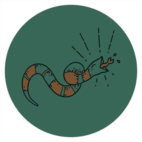 A simple looping animated icon of a tattoo style hissing snake Stock Footage 312981124