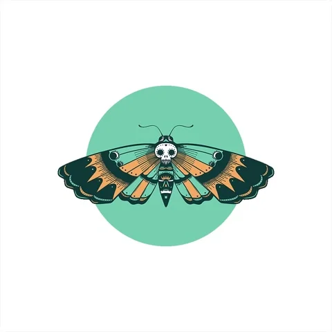 A simple looping animated iconic tattoo style image of a deaths head moth Stock Footage 312972751
