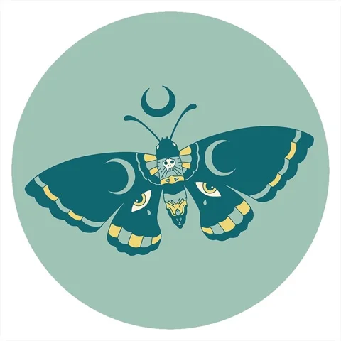 A simple looping animated iconic tattoo style image of a moth Stock Footage 312975881