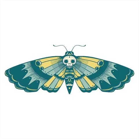 A simple looping animated iconic tattoo style image of a deaths head moth Stock Footage 312993031
