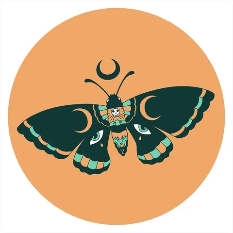 A simple looping animated iconic tattoo style image of a moth Stock Footage 313008024