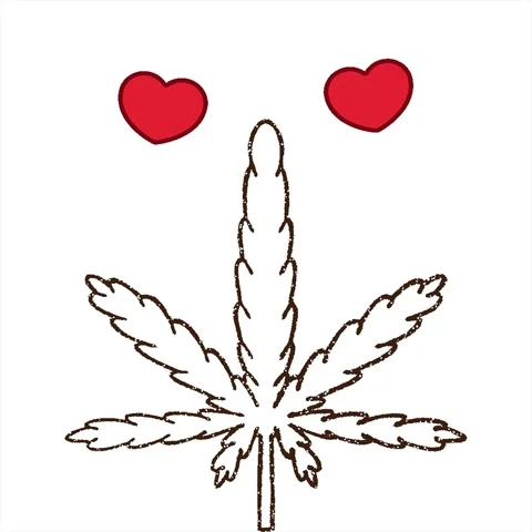 A simple looping animated Marijuana Leaf Charcoal Drawing Video stock 312998724