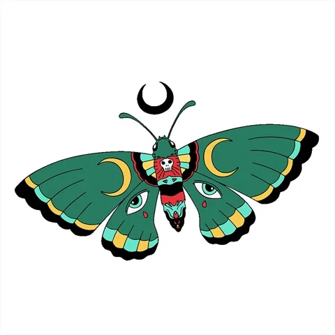 A simple looping animated tattoo in traditional style of a moth Stock Footage 313008500