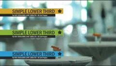 Simple Lower Third Stock After Effects