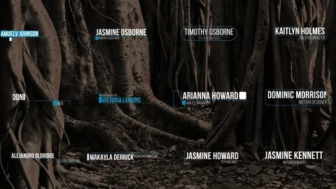 Simple Lower Third Stock After Effects