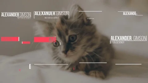 Simple Lower Thirds Stock After Effects