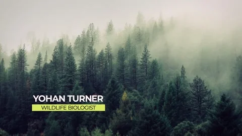 Simple Lower Thirds 스톡 After Effects