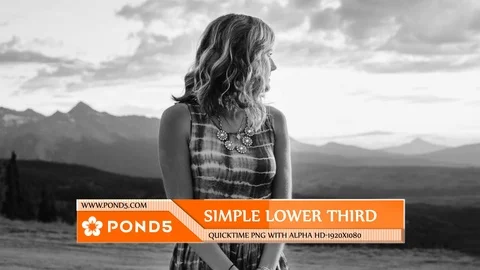 SIMPLE LOWERTHIRD Stock After Effects