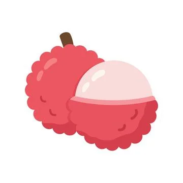 Simple Lychee Fruit Icon Illustration Vector Template Stock Illustration