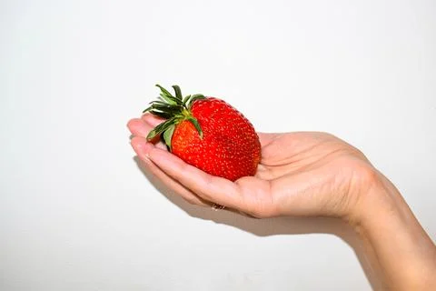 Simple Macro Shot of Woman's Hand Holding Big Ripe Strawberry Foto stock