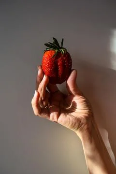 Simple Macro Shot of Woman's Hand Holding Big Ripe Strawberry on  Background Stock-Fotos
