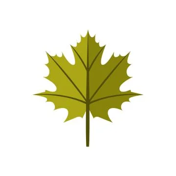 Simple Maple Green Autumn Leaf Illustration Symbol Graphic Design Stock Illustration