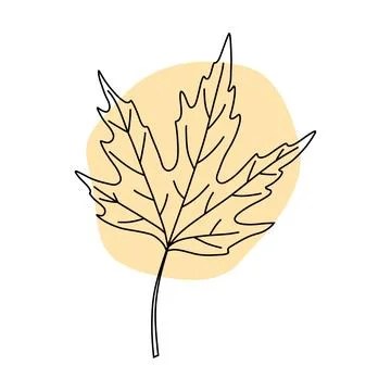Simple Maple Leaf Line Art Illustration Stock Illustration