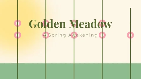 Simple Minimalist Growth Chart Displaying Increasing Progress Levels Stock Footage 337500865