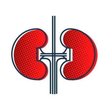Simple modern isolated human kidney outline flat style vector illustration Illustrazione stock