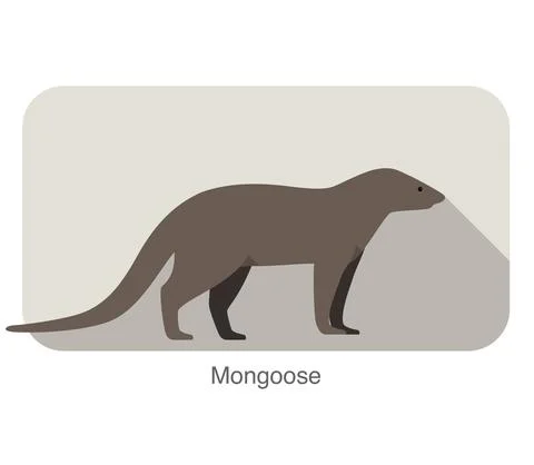Simple mongoose standing and watching, vector illustration Stock Illustration