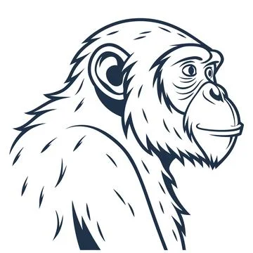 Simple monkey design clean vector white backgroun Stock Illustration