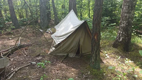 Simple, natural colored canvas tent set up in a campground in the forest Stock Footage 197063578