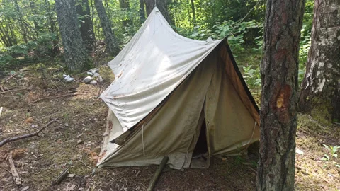 Simple, natural colored canvas tent set up in a campground in the forest Stock Footage 197063589