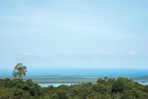 Simple nature background tree in forest and big sky Stock Photos
