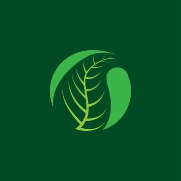Simple nature concept template illustration with minimalist green leaf logo.. Stock Illustration