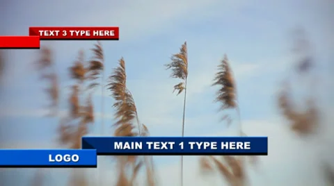 Simple News Lower Third Catálogo de After Effects